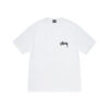 STUSSY - BURNING STOCK TEE FRONT