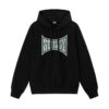 STUSSY - CHAMPION PIGMENT DYED HOODIE FRONT